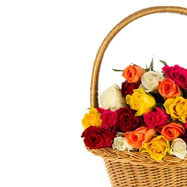 fiorista fiori di Firenze- Cesto con rose colorate Bouquet floreale