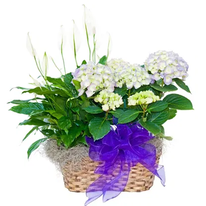 flores Italia floristeria -   Ramo de flores/arreglo floral