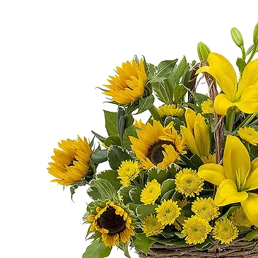fiorista fiori di Firenze- Composizione di girasoli e fiori gialli Bouquet floreale
