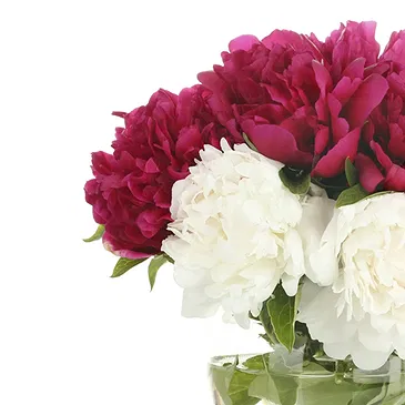 Italy flowers  -  White and Pink Peonies Composition in Vase Flower Bouquet/Arrangement