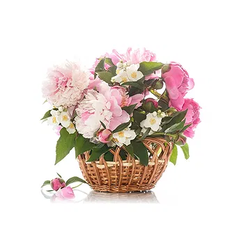 San Marino flowers  -  Basket of Colorful Peonies Flower Delivery