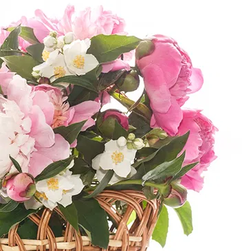 fiorista fiori di Firenze- Cesto di peonie colorate Bouquet floreale