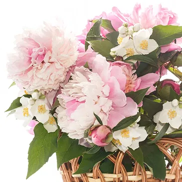 fiorista fiori di Firenze- Cesto di peonie colorate Bouquet floreale