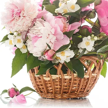 fiorista fiori di Firenze- Cesto di peonie colorate Bouquet floreale