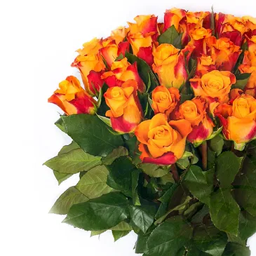 Italy flowers  -  Sunny Composition Flower Bouquet/Arrangement