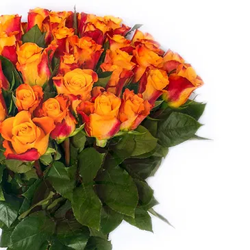 Italy flowers  -  Sunny Composition Flower Bouquet/Arrangement
