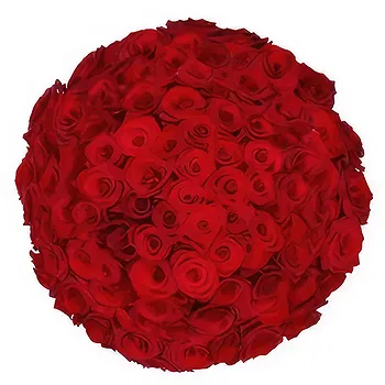 Holland flowers  -  100 red roses via the Florist Flower Delivery
