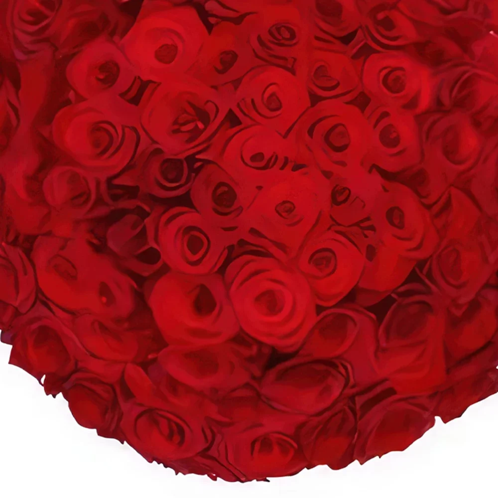 アムステルダム 花- 花屋経由で100本の赤いバラ 花束/フラワーアレンジメント
