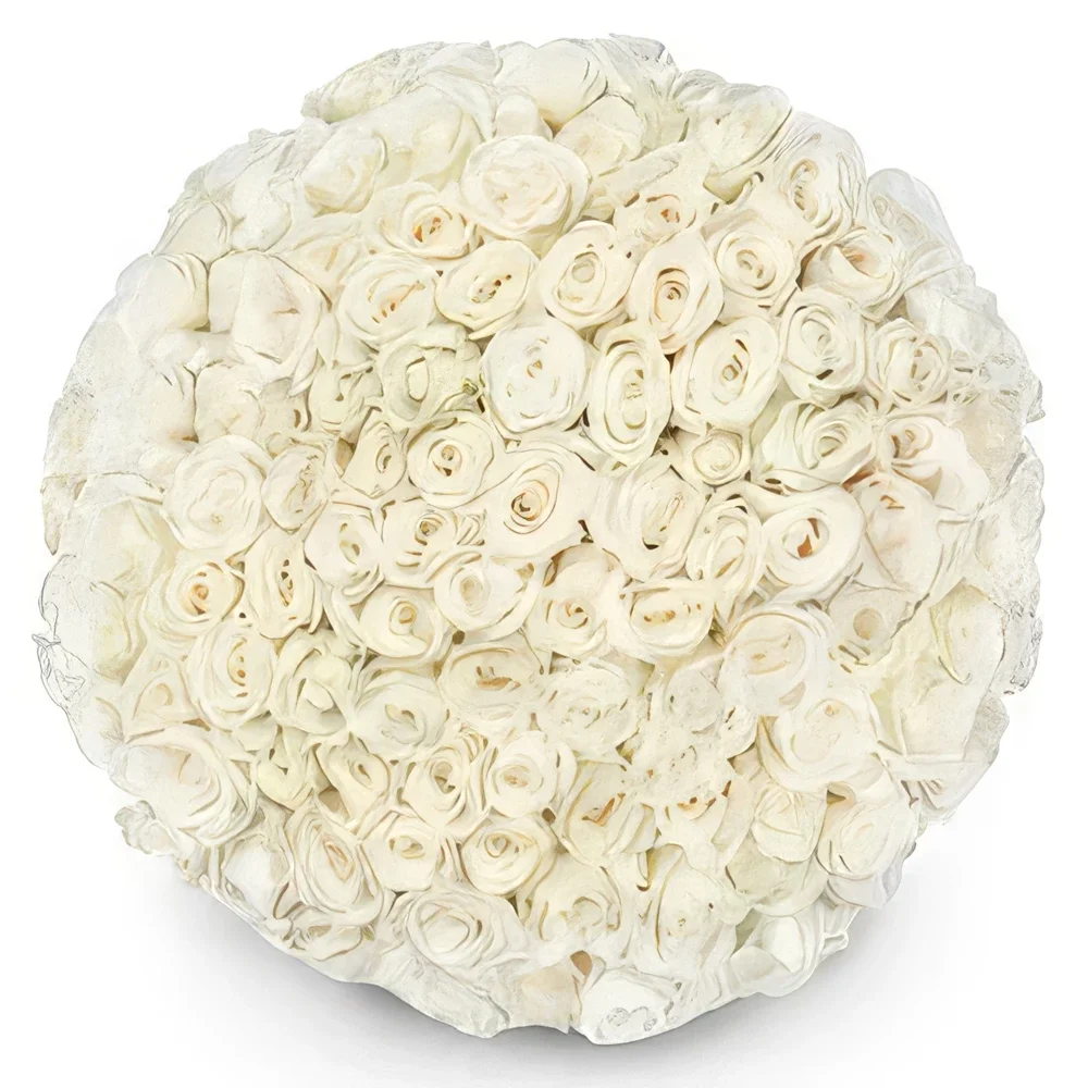 רוטרדם פרחים- אהבה לבנה זר פרחים/סידור פרחים