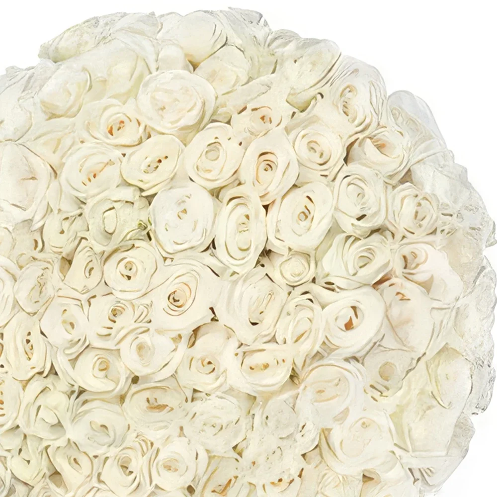 Αϊντχόβεν λουλούδια- Λευκή Αγάπη Μπουκέτο/ρύθμιση λουλουδιών