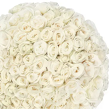 Maastricht Blumen Florist- Weiße Liebe Bouquet/Blumenschmuck