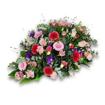 Holland flowers  -  Cherished Memories Flower Delivery