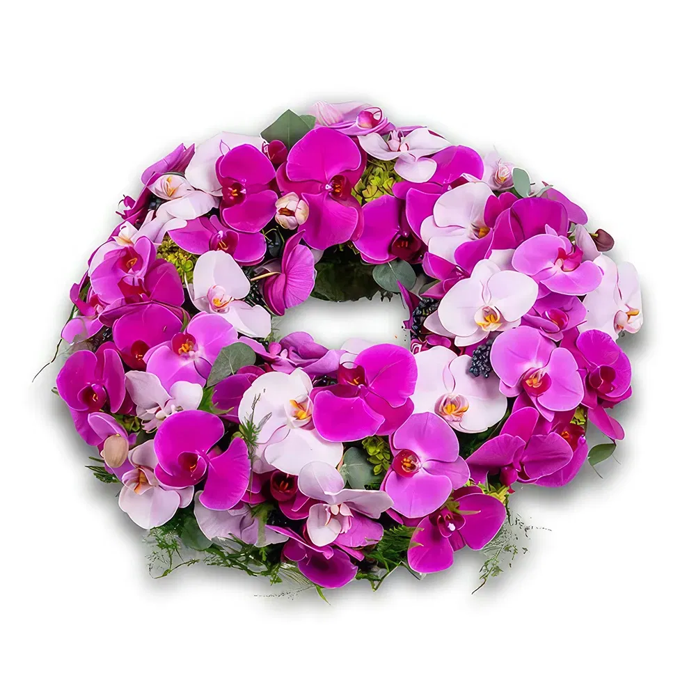 乌特勒支 花- 优雅致敬