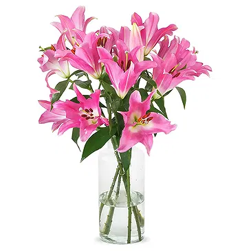 Tilburg Blumen Florist- Weiche Farbe Bouquet/Blumenschmuck