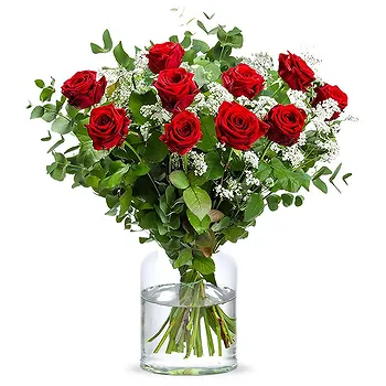 Holland flowers  -  Great roses bouquet Flower Delivery
