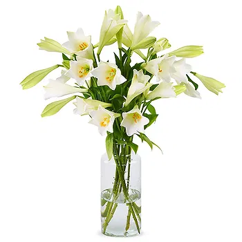 Holland flowers  -  Lilies - White Heaven Lilies Flower Delivery