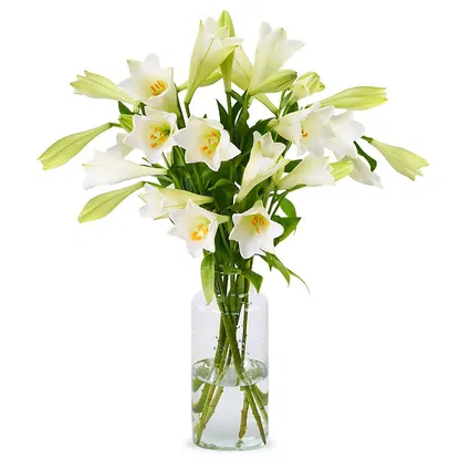 Holland blomster-  Blomst buket/Arrangement