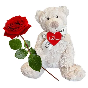 Holland flowers  -  Love Combo Flower Delivery