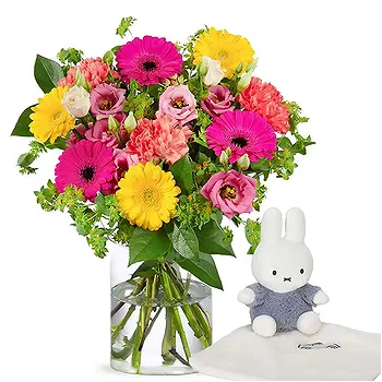 Holland flowers  -  Cheerful flowers + Miffy Delivery