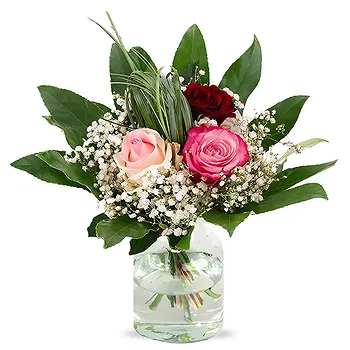 Holland flowers  -  Warm Welcome Flower Delivery