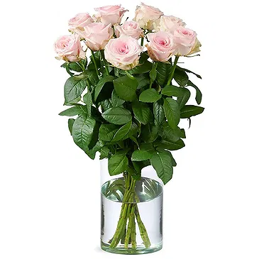 Maastricht Blumen Florist- Weiches Rouge Bouquet/Blumenschmuck