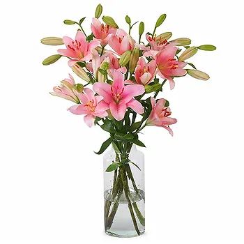 Holland flowers  -  Sunrise Flower Delivery
