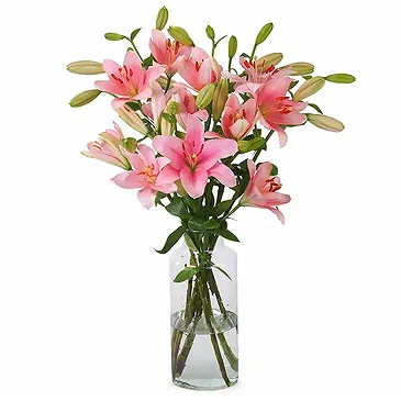 Amsterdam-Zuidoost flowers  -  Sunrise Flower Bouquet/Arrangement