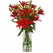 Amsterdam online Florist - New Day Bouquet