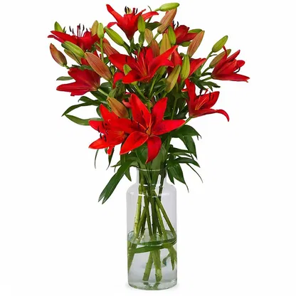 Holland blomster-  Blomst buket/Arrangement