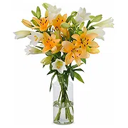 All other cities online Florist - Charming  Collection Bouquet