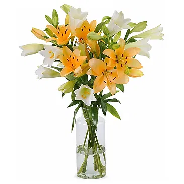 Amsterdam-Zuidoost flowers  -  Charming  Collection Flower Bouquet/Arrangement