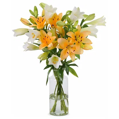 Holland blomster-  Blomst buket/Arrangement