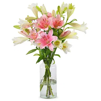 Holland flowers  -  Charming Start Flower Delivery