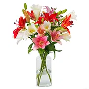 Holland online Florist - Lilies - Fancy mix Bouquet