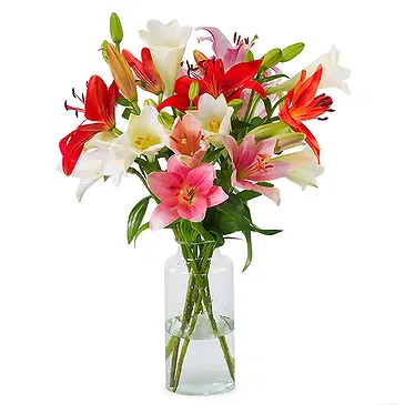 Haarlem flowers  -  Lilies - Fancy mix Flower Bouquet/Arrangement