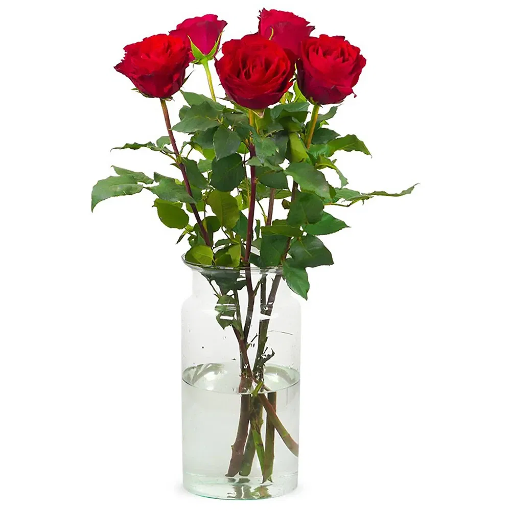 Holland bloemen bloemist- Luxe geschenk