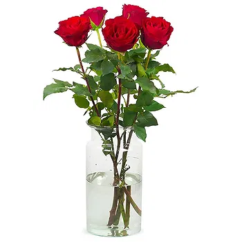 Holland flowers  -  Luxury Gift Flower Delivery