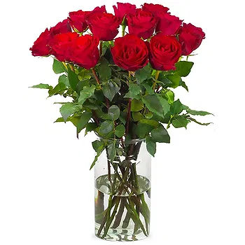 Holland flowers  -  15 red roses | Grower Flower Delivery