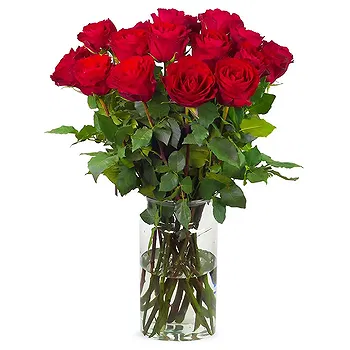 Holland flowers  -  20 red roses | Grower Flower Delivery