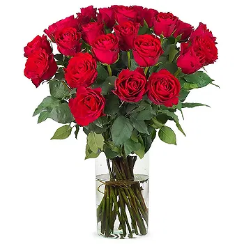 Holland flowers  -  Handcrafted  Flower Delivery