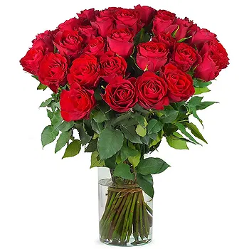Holland flowers  -  Spring Roses Bouquet Flower Delivery