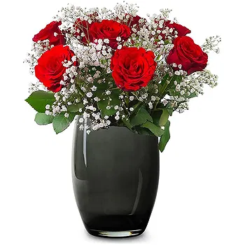 Holland flowers  -  Pure Romance Flower Delivery