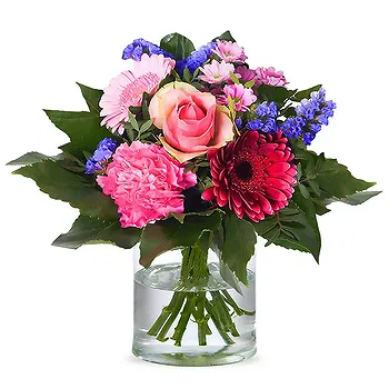 Holland flowers  -  Radiant Red Flower Delivery