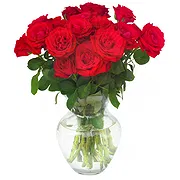 Villadose online Florist - Bouquet of 18 red roses Bouquet