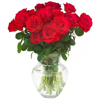 San Marino flowers  -  Bouquet of 18 red roses Flower Delivery