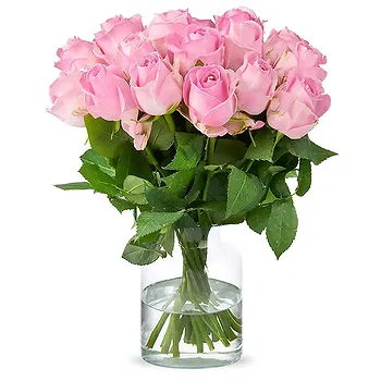 Holland flowers  -  Pink roses (40cm) Flower Delivery