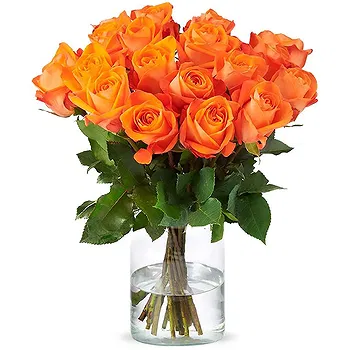 Holland flowers  -  Orange roses (40cm) Flower Delivery