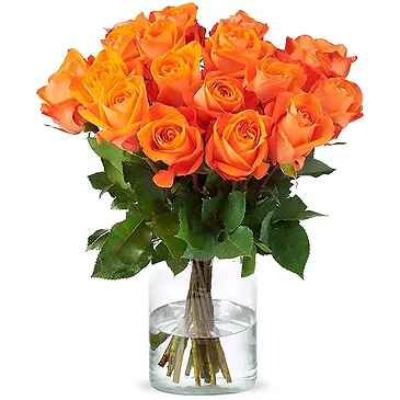 Holland blommor- Orange rosor (40cm) Bukett/blomsterarrangemang