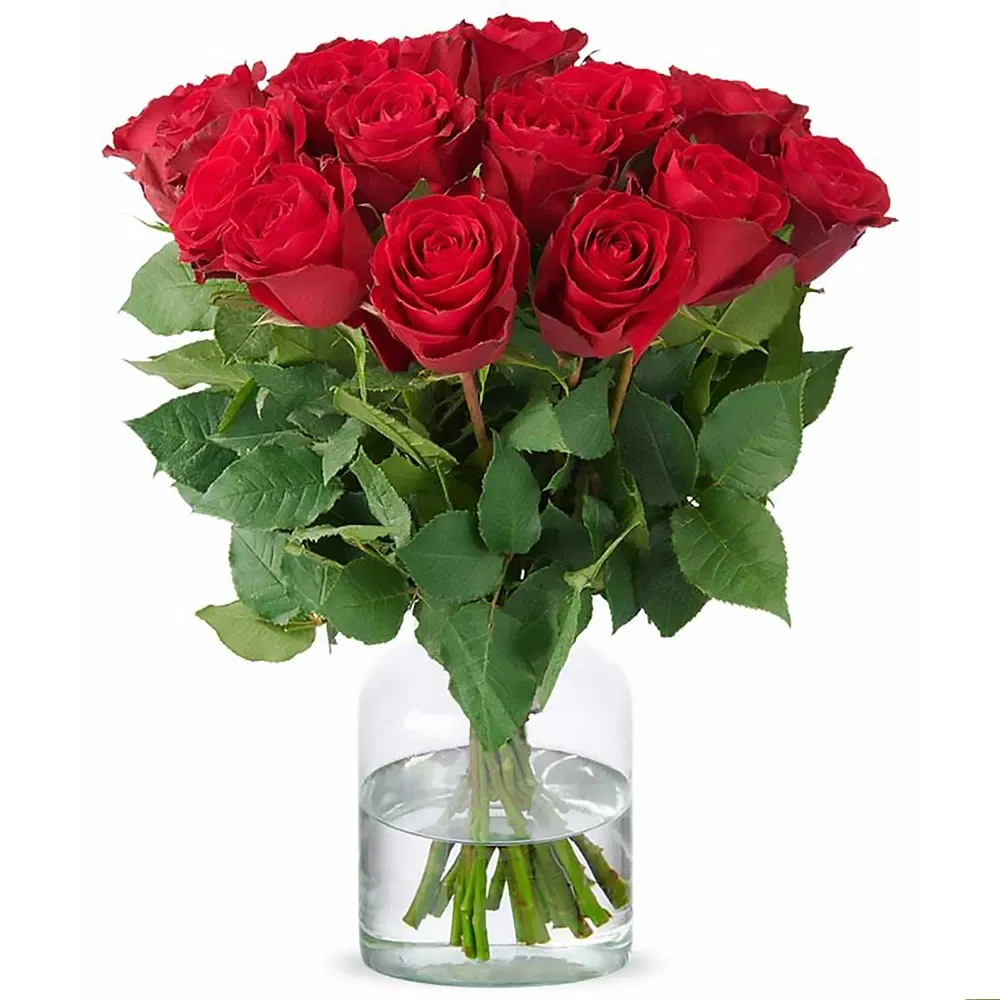 Holland bloemen bloemist- Rode rozen (40cm)