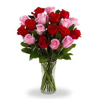 Balin You flowers  -  Elegant Red and Pink Roses Arrangement Flower Delivery